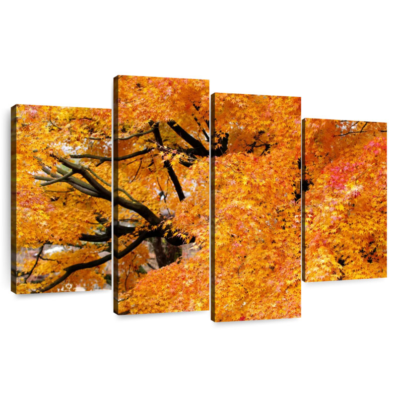 Harnek Maple Trees In Autumn, 32" H x 52" W