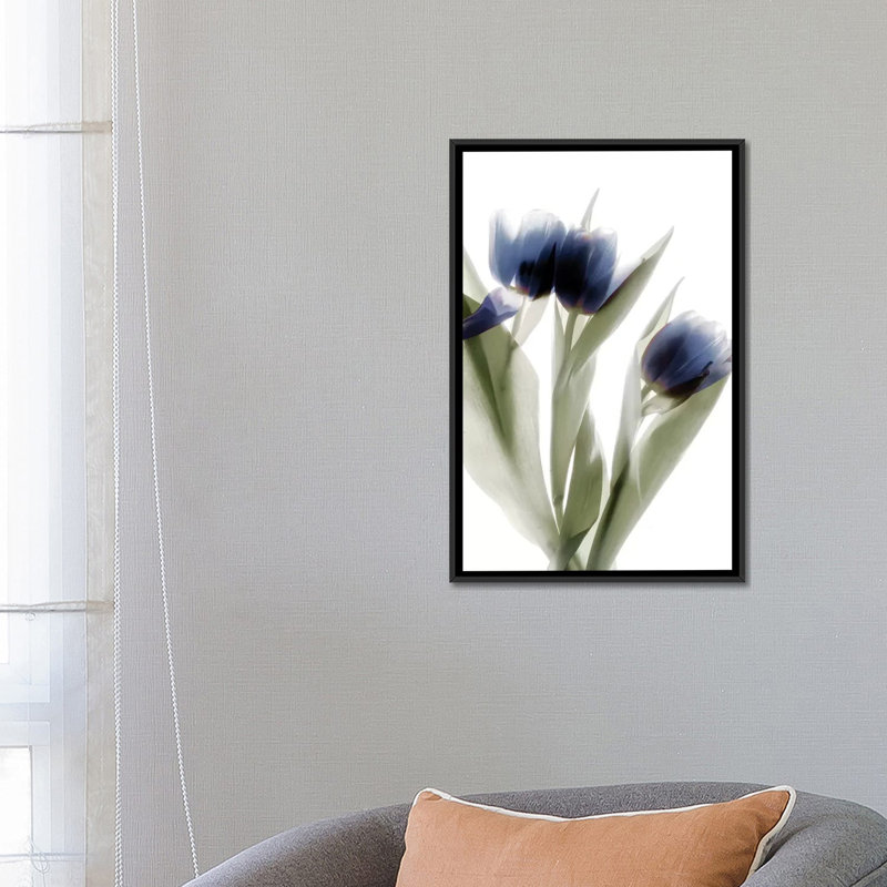 «X-Ray Tulip IV» par Judy Stalus, reproduction sur toile, H 26 po x l 18 po x P 1,5 po, Toile avec cadre noir, Pas de tapis