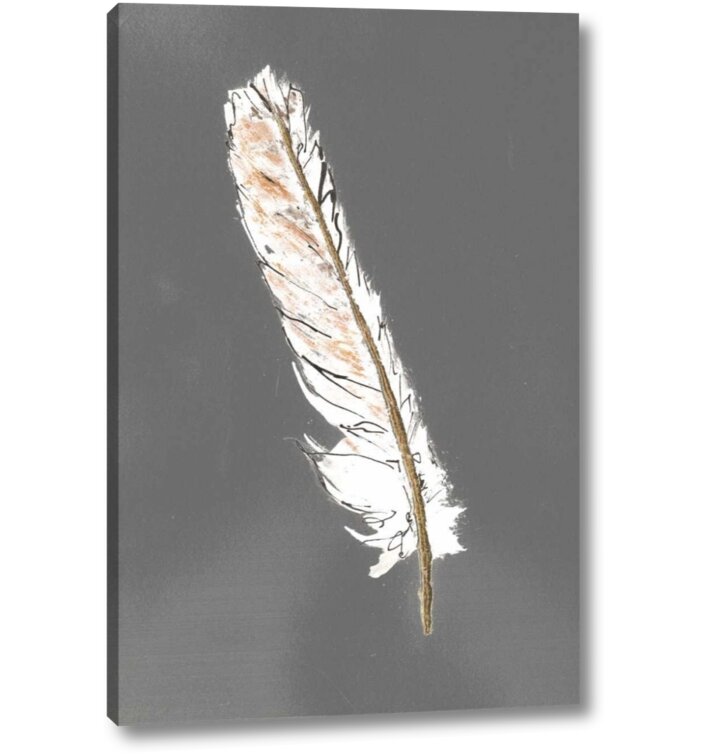 Trademark Fine Art 'Gold Feathers III on White' Canvas Art by Chris Paschke  