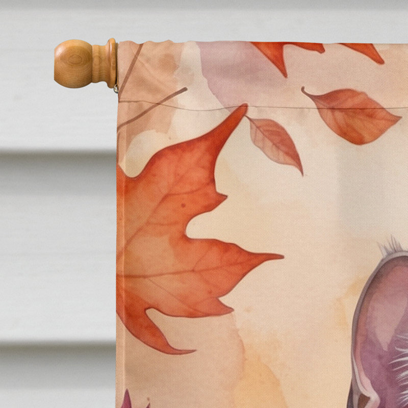 Chat en feuilles d'automne, Thaï lilas