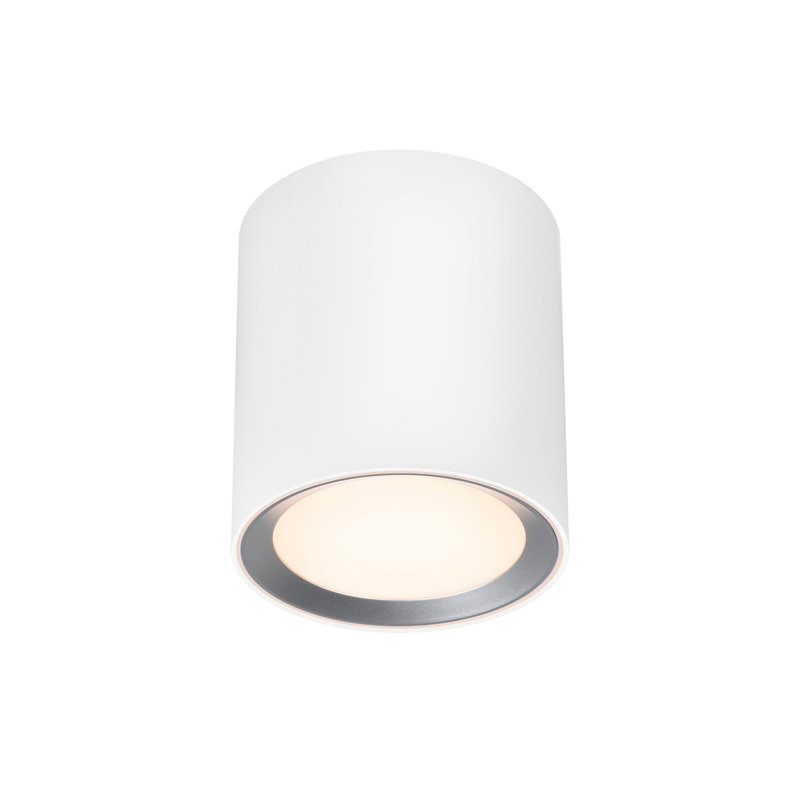 Flush Mount, White