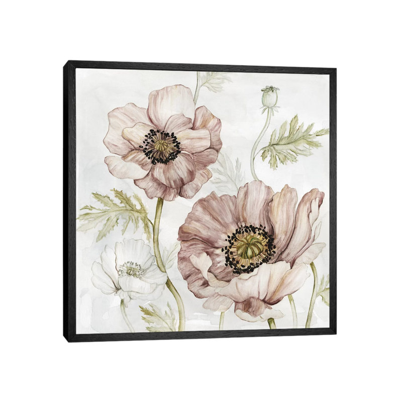 Washed Botanical IV by Carol Robinson - Print on Canvas, 66.04 cm H x 66.04 cm W, Black Framed