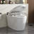 The No-Power, All-Powerful Toilet - Flush, Wash, Done.
