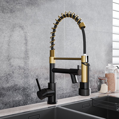 Belfry Kitchen Lippencott Pull Down Kitchen Faucet