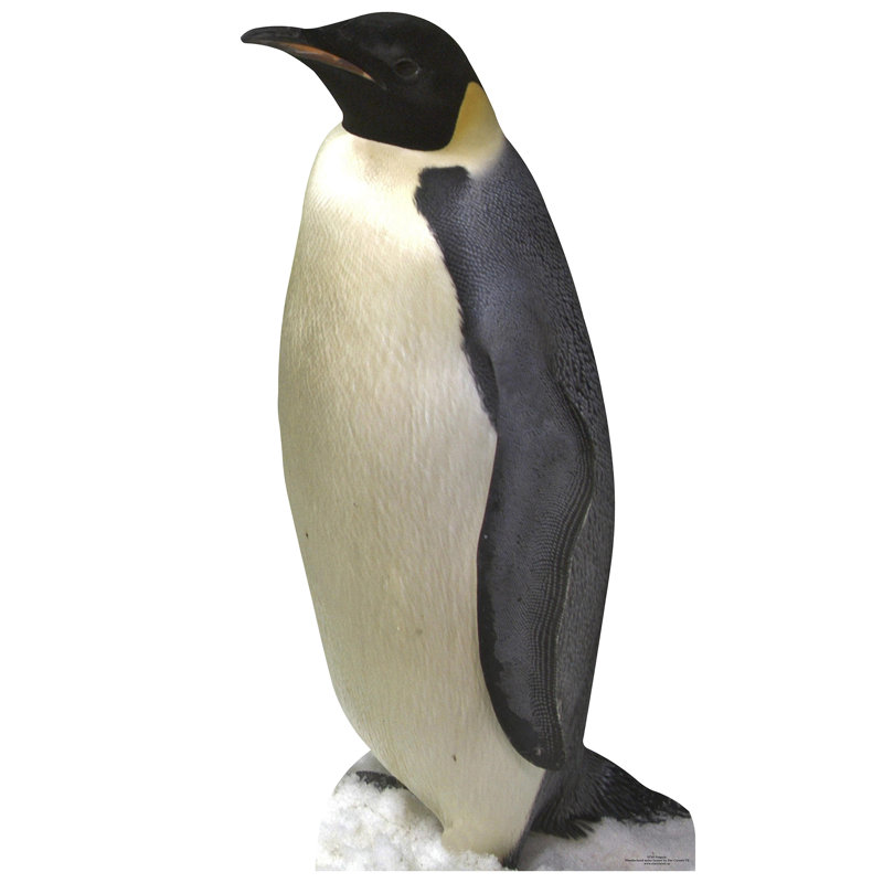 Penguin Cardboard Standup