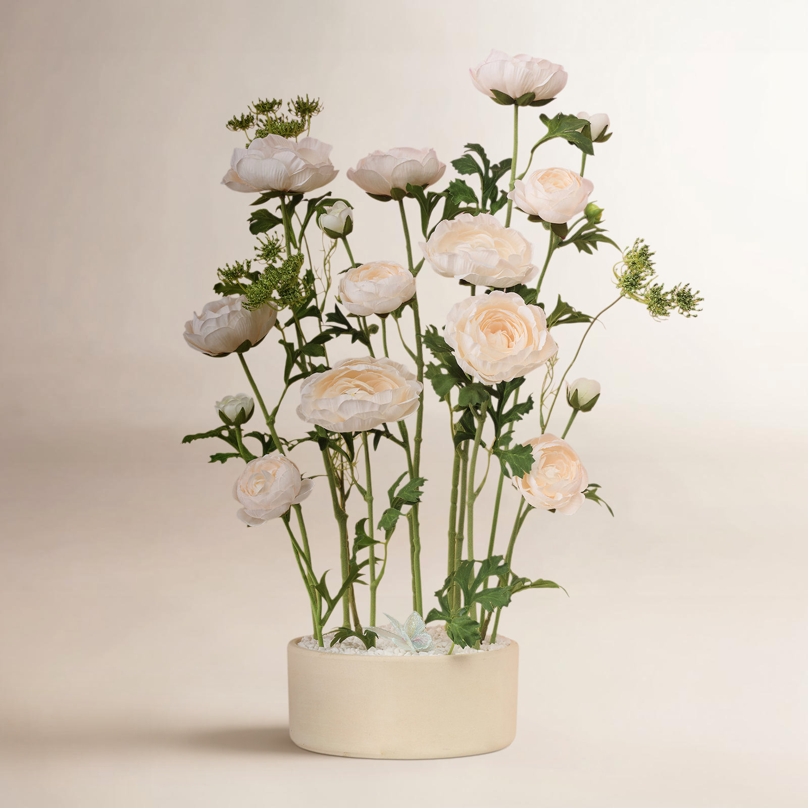 Ranunculus Stems