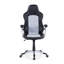Brayden Studio Adjustable Ergonomic Faux Leather PC & Racing Game Chair in Black/White