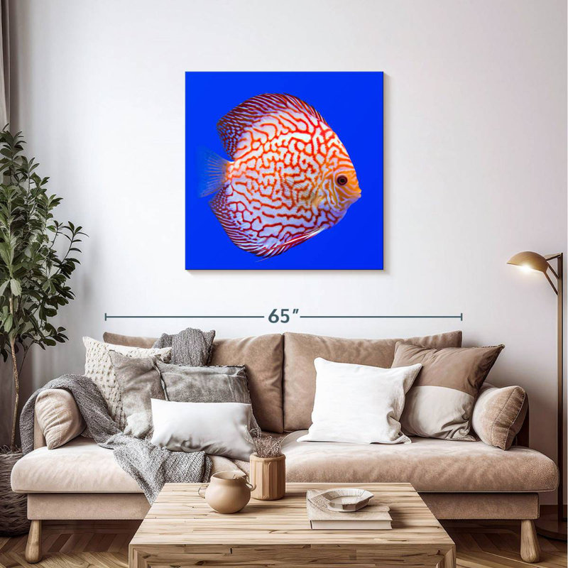 Brampt Exotic Discus Fish, 36" H x 36" W
