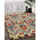 Southwestern Indoor Rug