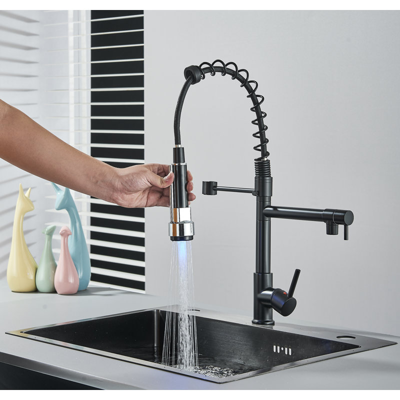 Belfry Kitchen Almena Pull Down Kitchen Faucet
