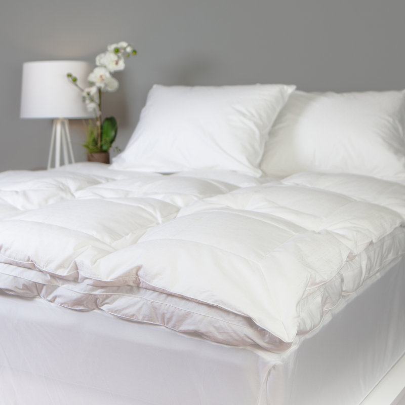 Burlwood 2'' Down Mattress Topper, Twin