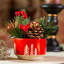 Arrangement floral de Noël en pot-1363918558-1363947668