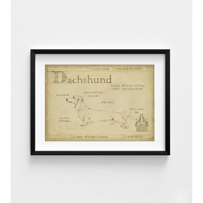Alay Dachshund Poster Print, Framed Sausage Dog Wall Art, Dachshund Fine Art, Mini Dachshund Art, Small Dog Wall Art Print, Framed Wall Art