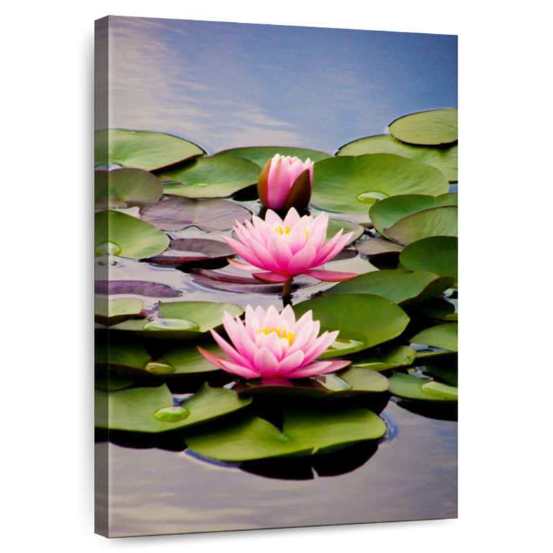 Sacred Lotus Flowers, 30" H x 20" W