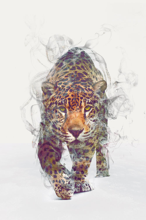 « leopard », impression sur toile tendue, H 40 po x l 26 po x P 1,5 po
