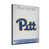 Pittsburgh Panthers