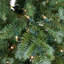 72 arbres de Noël