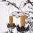 Timberlane 6 - Light Dimmable Chandelier