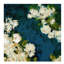 Flowers Fall I Painting by Sara Brown-26728526-26728524