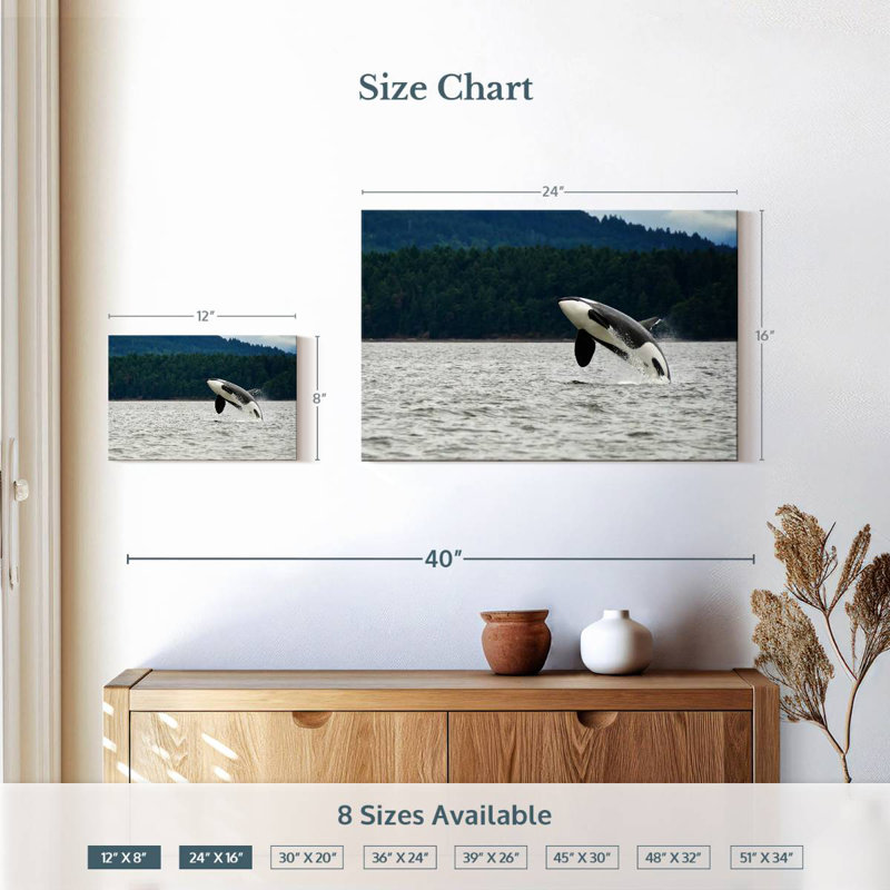 Crowle Orca sautant