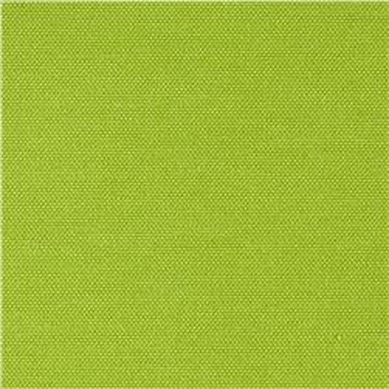 Coussin de siège d'intérieur / d'extérieur, Vert pomme Fresco, L 22,5 po x P 22,5 po