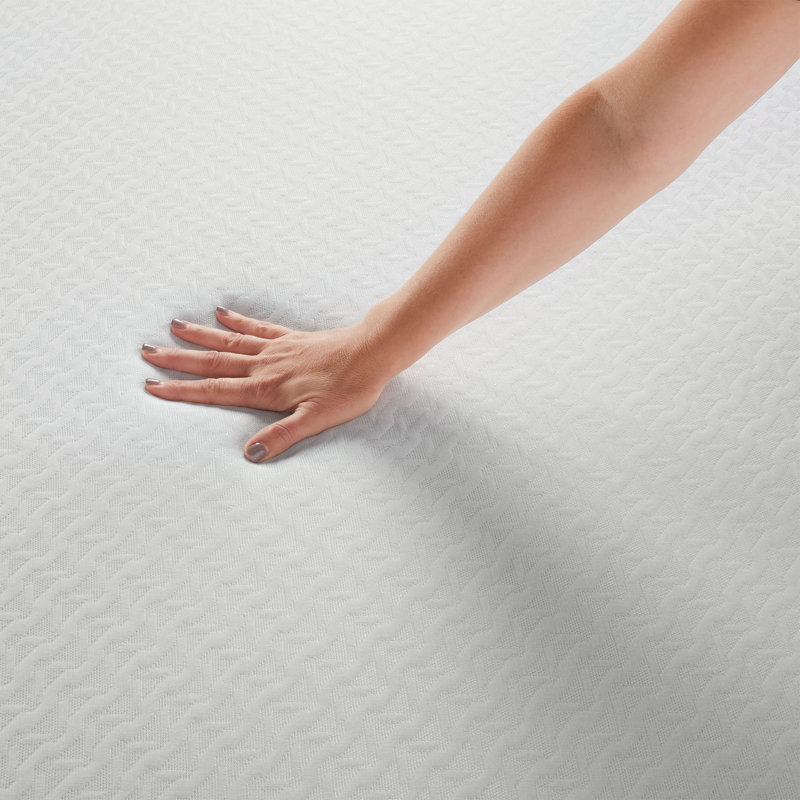 Serta Sheer Slumber Medium Firm 8" Memory Foam Mattress, Queen