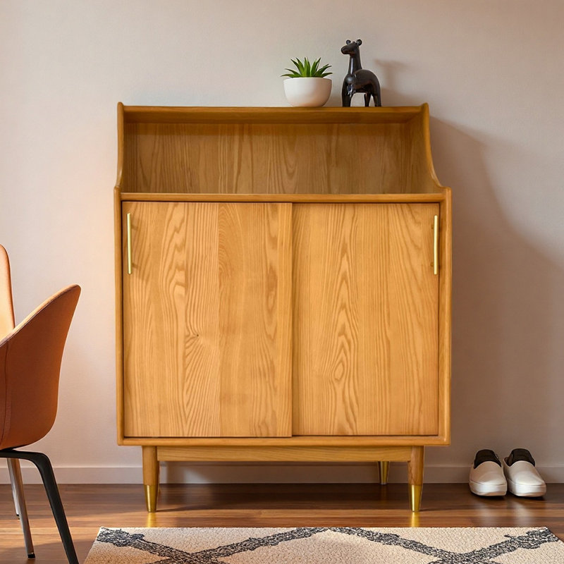 Modern simple storage shoe cabinet