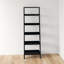 Danikka Ladder Bookcase