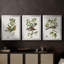 Oiseau antique, botanique et œuf - Toile tendue sur mesure avec châssis encadré - 3 pièces-876422094-876422093