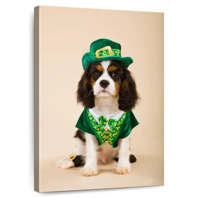 Dog In Leprechaun Costume