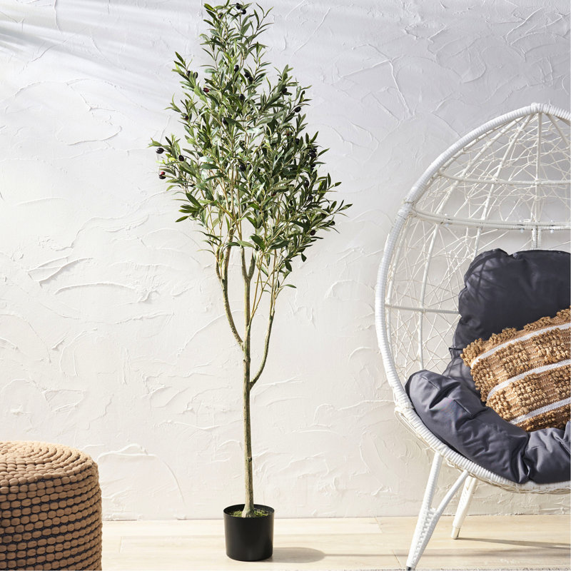 Olive artificiel 180 cm - Décorez votre maison avec de la verdure. - Feuilles, branches minces. Pour plus de commodité. 71,51 H x 27,02 P P Apportez de la nature à l'intérieur. Structure de branche réaliste, olives mauve foncé.