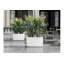 Cararo Pot Planter-16493111