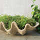 Handmade Pot Planter