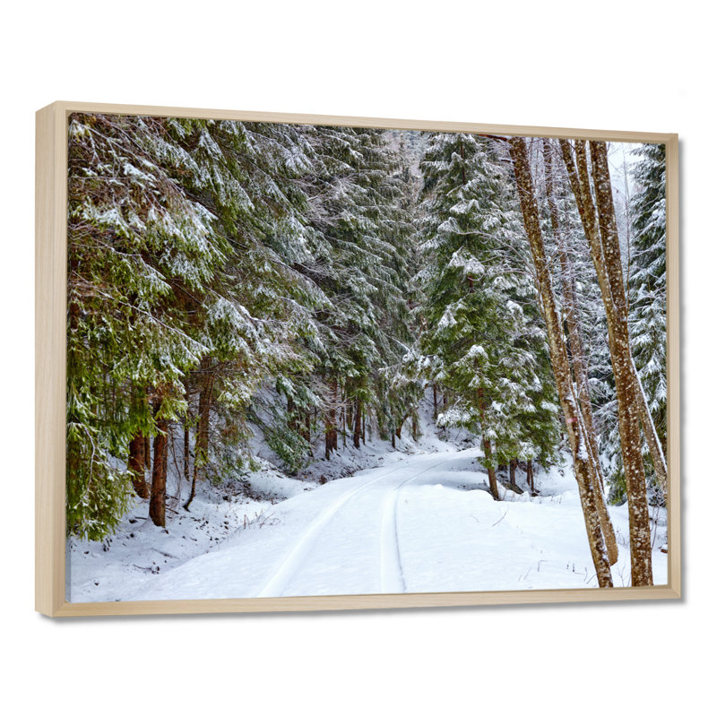 «Winter Forest», reproduction d'art sur toile, route enneigée dans la forêt, H 12 po x l 20 po, Cadre flottant, Érable