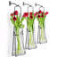 Vase murale en verre lanterne suspendue 19"