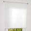 Roll-Up Shade-21010536-21010544