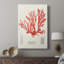 Étude de corail rétro IV - galerie Cavas sur mesure-117821409