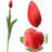 Silk Arrangement-1130139106
