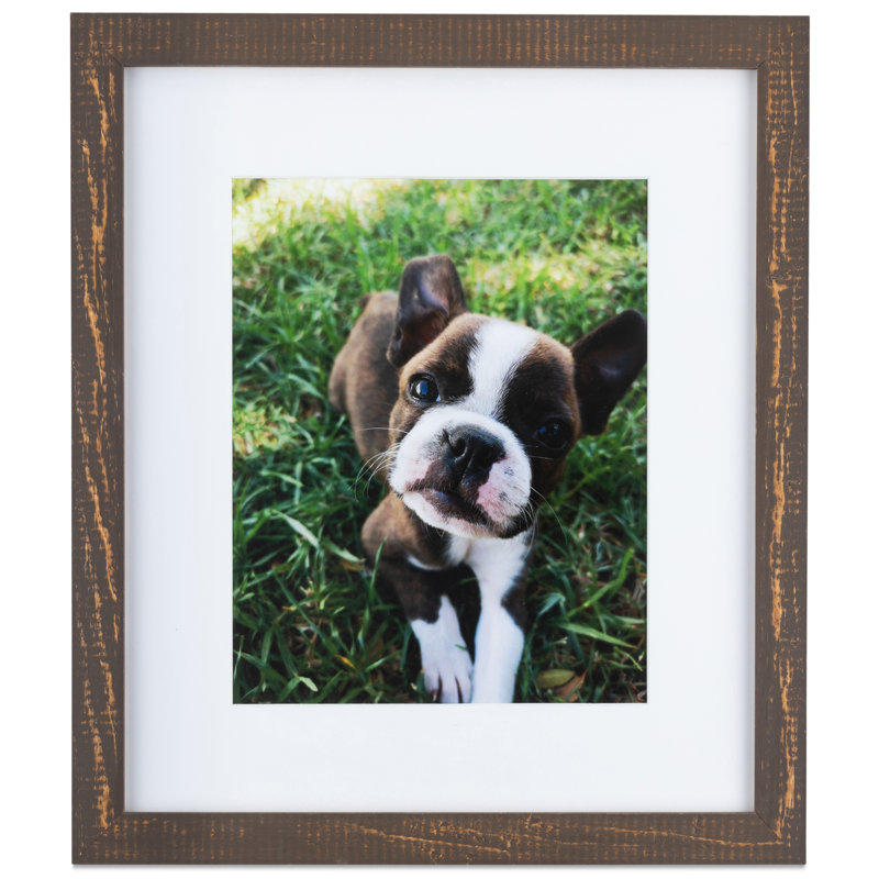Cadre photo à finition usée Boggs, 8,5 po x 14 po, Chêne
