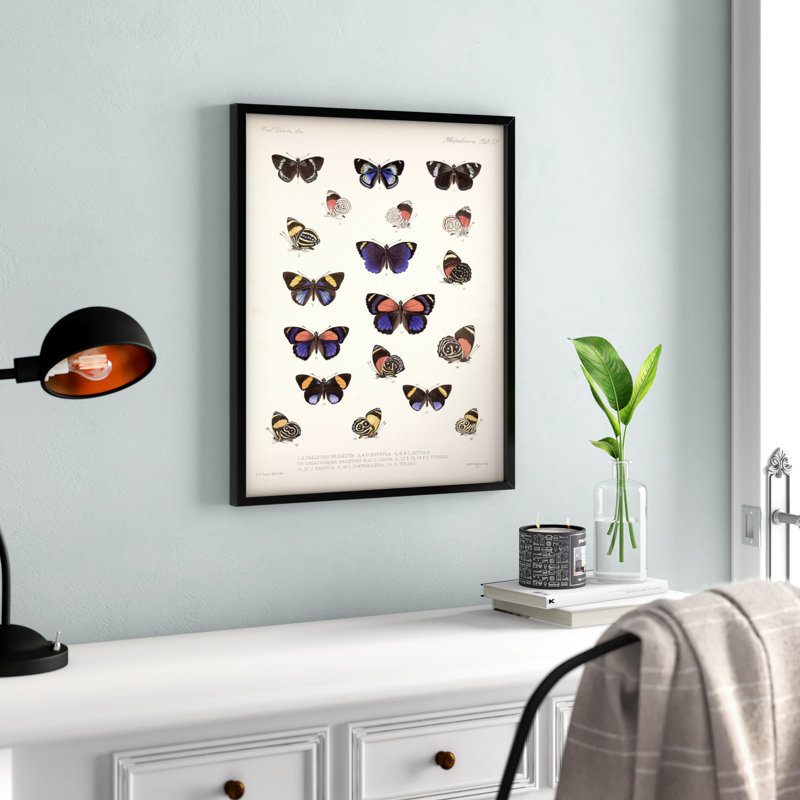 Frederick Du Cane - Single Picture Frame Print