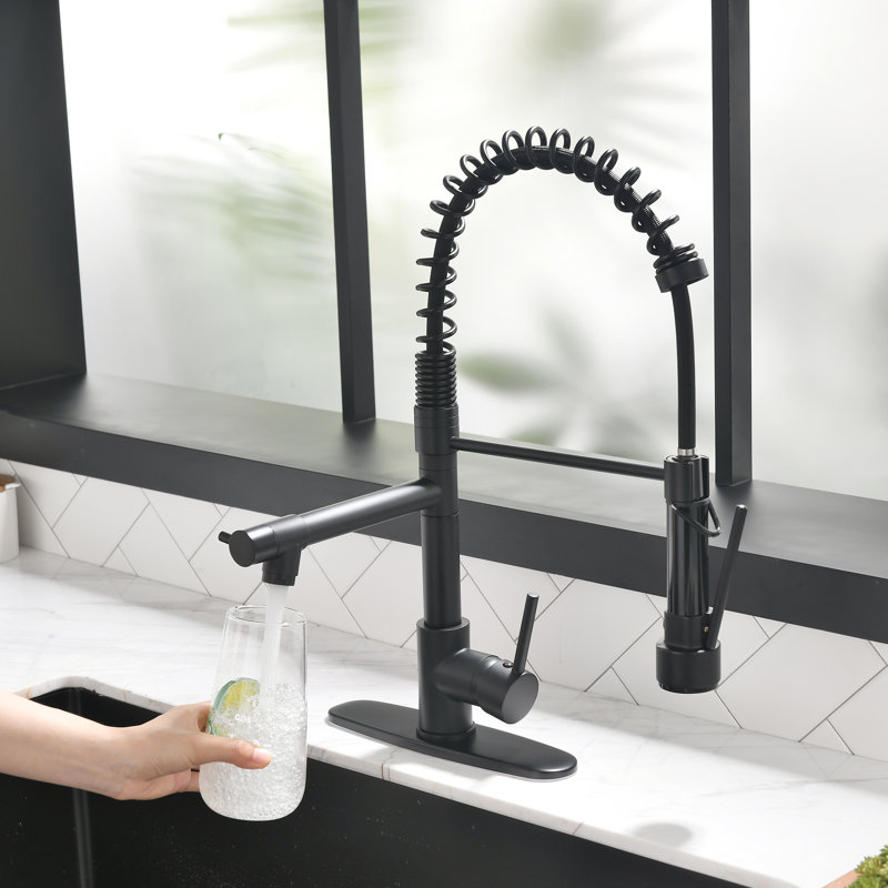 Robinet de cuisine avec distributeur de savon FLG