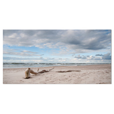 " Large Panels Of Wood On Beach "