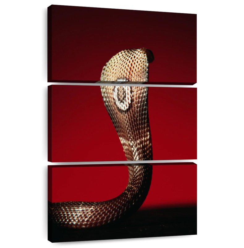 Brampt Cobra, 45" H x 28" W
