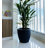 Amsterdan Pot Planter-50341599-50346400