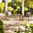 Zerla Patio Dining Set Square Table with Cushions Included