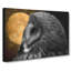 Great Grey Owl Vol.1 - Wrapped Canvas-61852394