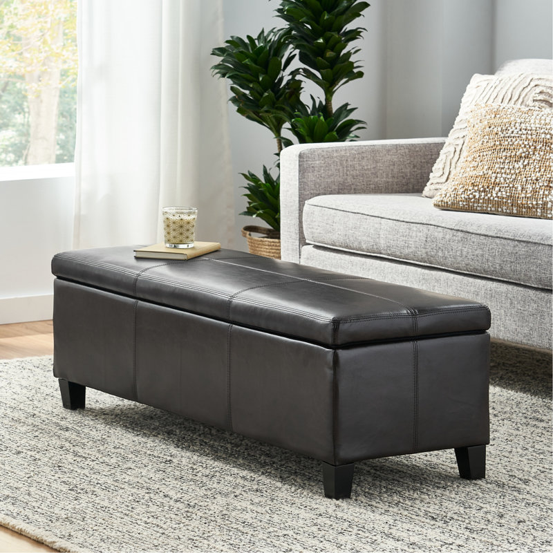 Rangement moderne en polyuréthane - avec surface d'eau, l 51,75 po x P 17,94 po x P 16,03 po, pièce fonctionnelle de banc rembourré avec charnières, h 16,03 po