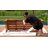 Verda 4 - Person Wood Patio Dining Set with Rectangular Table