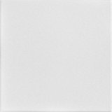 Basic 1.6 ft. x 1.6 ft. Polystyrene Glue-up Ceiling Tile
