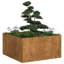 Planter Box-1764276870-1764276871